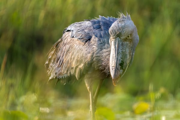 "AI" is Yesterday's News